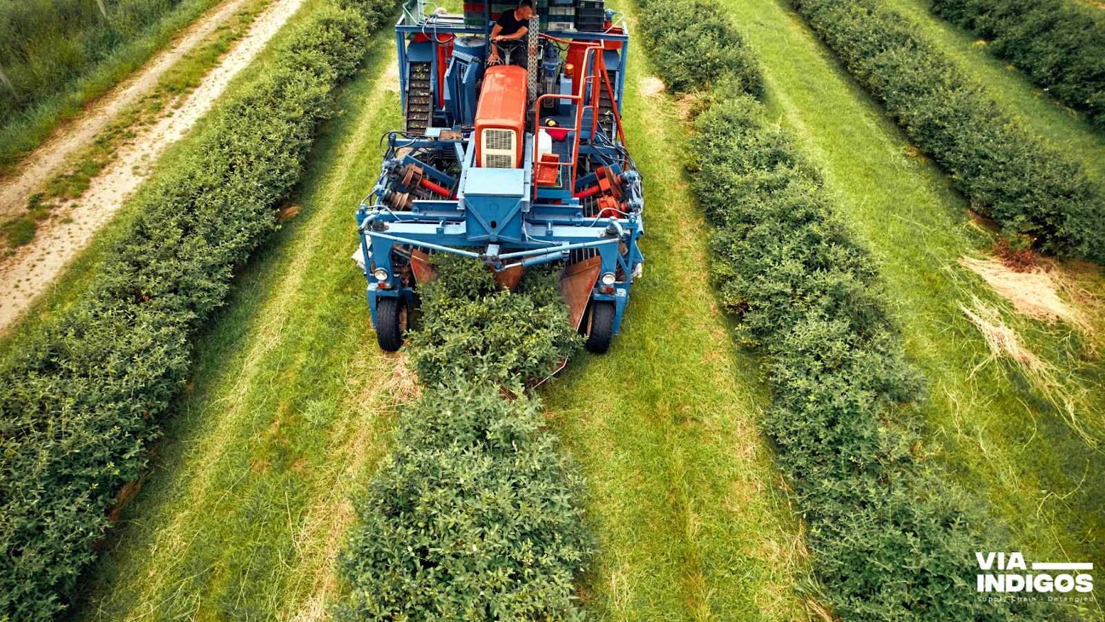 A modern farming machine harvests crops, showcasing advanced agricultural technology.